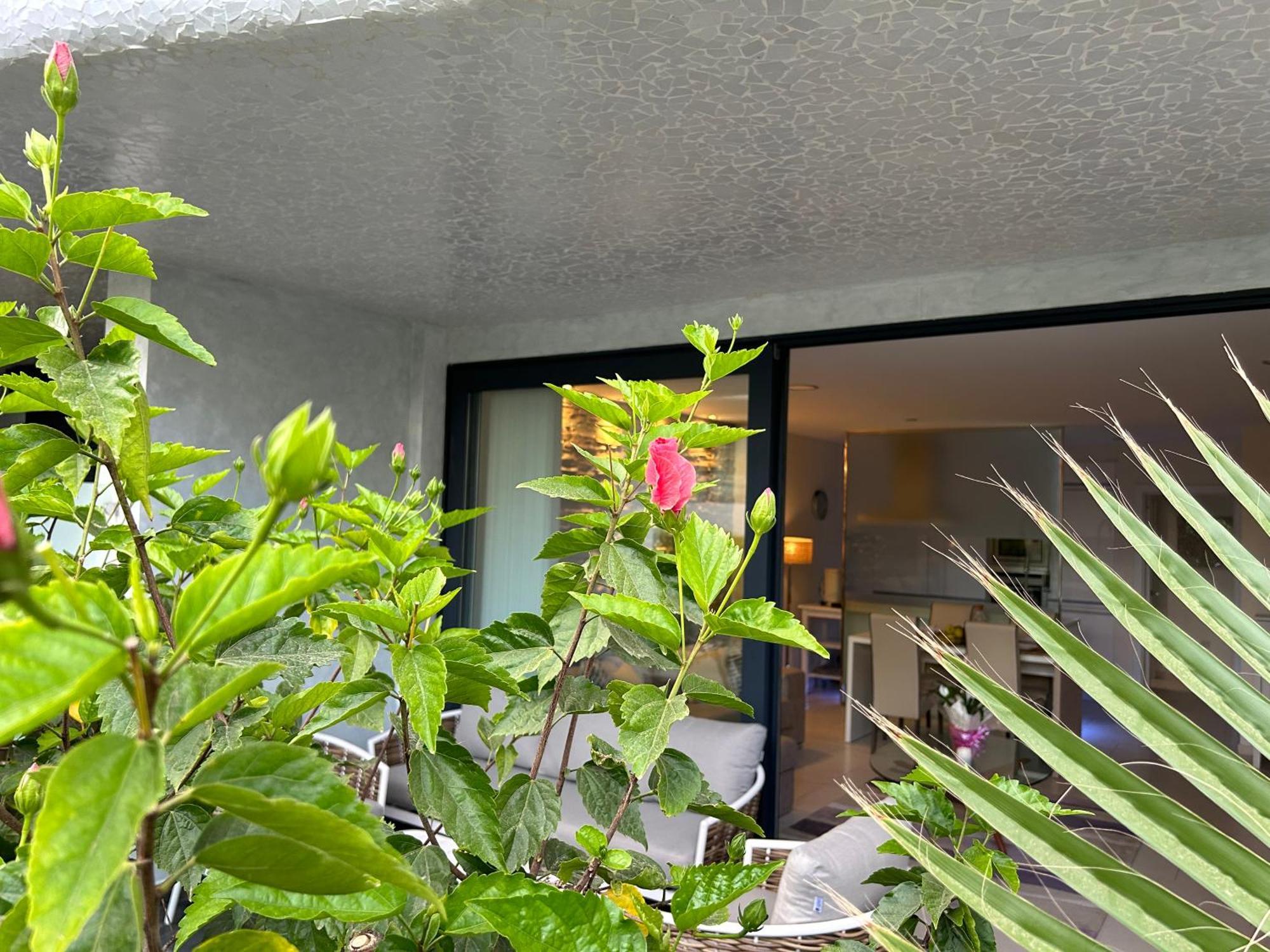 Ville Las Olas 滨海帕尔姆 外观 照片
